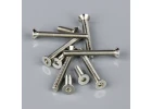 Arrows Hobby Screw Set (Bigfoot)