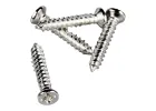 Arrows Hobby Screw Set (for Viper)
