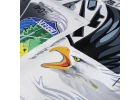 Arrows Hobby Decal Sheet (for F15)