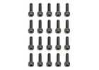 M3 x 10mm SHC screw (10)