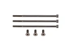 Reedy Sonic Sp5 Titanium Motor Screw Set (6)