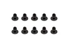 Associated Screws M2.5X4mm FHCS (10)