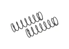 Team Associated 13mm Rear Springs Grey 2.55Lb/In L72 8.75T 1.2D