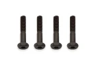 Associated Brake Bolt