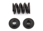 Team Associated B6.1 Slipper Spring