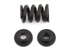 Team Associated B6.1 Slipper Spring
