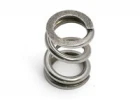 Slipper Spring