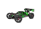 Corally Asuga XLR 6S