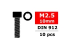 Corally Steel Screws M2. 5 X 10mm Hex Socket Head 10