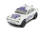 Carisma GT24RS 1:24 Micro Rally - RTR