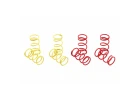 CEN CML Cen Performance Springs (1:8 Puma Rally1)