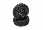 Class 1 Ascend CR C3 1.9 Black (2)