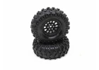 Class 1 Showdown CR C3 Mntd 1.9 Black (2)