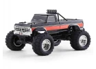 FMS Ford F100 RS