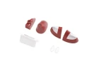 FMS Cessna 182 1500 Lamp Cover - Red