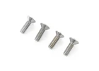 FMS 64mm J-10 Screws Set