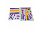 FMS Super Ez V4 Sticker