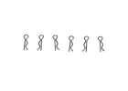 FMS Kingfisher Clasp
