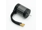 FTX Rally Brushless Motor 3652/4000Kv