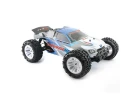 FTX Carnage NT