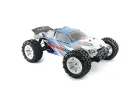 FTX Carnage NT