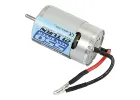 FTX 550 21T Brushed Motor (MT - Outlaw)