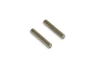 Fastrax FTX Ravine Idler Gear Posts (2Pc)