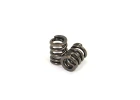 FTX Outback Hi-Rock Slipper Spring (2)