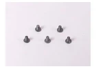 Tamiya 3X5mm Flat Screw X 5