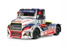 Tamiya Buggyra Fat Fox TT-01E