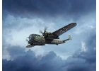 Do 217M-1 - WWII German Bomber