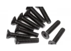 Flat Head Screw M3x14mm (Hex Socket/10Pcs)