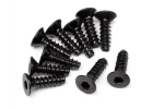 TP. Flat Head Screw M3x10mm (Hex Socket/10Pcs)