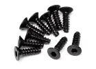 TP. Flat Head Screw M3x10mm (Hex Socket/10Pcs)