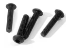 Button Head Hex Socket Screw (3x15mm) (6pcs)