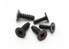 TP SCREW SET (M2 x 6mm 10pcs/M2.6 x 8mm 16 pcs)