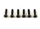 Flat Head Screw M3x15mm (6)