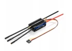 Hobbywing Seaking 120A V4 Speed Control