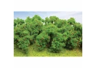 JTT 92122 Apple Tree Grove, 2 to 2-1/4 Tall, (6 per pack)