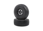 Alpine Wheel and Tire Mounted (2): BR