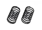 Spring Set 24x40x2.0mm 8 Coils (2)