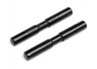 Rear Lower Arm Outer Pin (2Pcs)