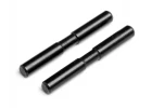 Rear Lower Arm Outer Pin (2Pcs)