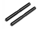 Rear Lower Arm Outer Pin (2Pcs)