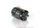 CAYOTE CREST 1:10 Stock Motor 10.5T