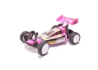 Schumacher Cougar 2 Works Classic