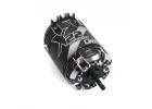LRP X22 Modified Motor 5.5T
