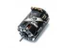 LRP X22 Stock Spec Motor - 21.5T