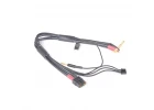 XT60 - XH 2S Balance Charger Lead - 4mm/5mm Plugs - Short