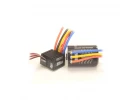 SKY RC Toro TS50 ESC Combo With 13.5T Motor